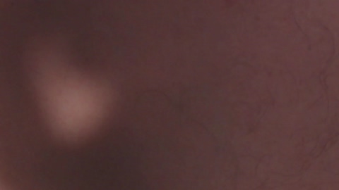 porn88s  12-07-2022